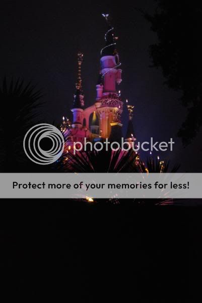 DisneylandParisday3night010.jpg