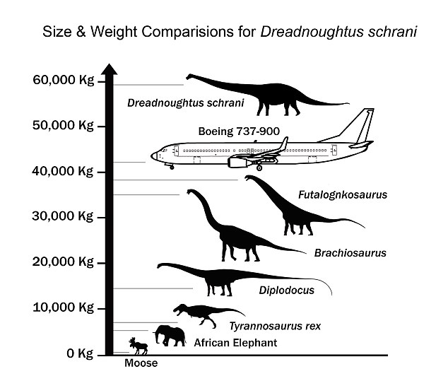 1409834271641_wps_13_Dreadnoughtus_Size_Weight.jpg