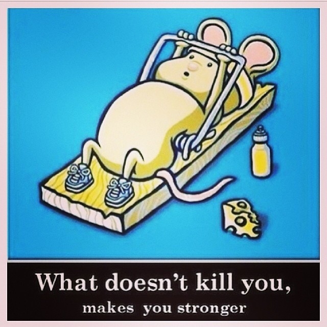 83528-What-Doesn-t-Kill-You-Makes-You-Stronger.jpg
