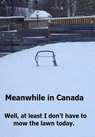 3ac657f13d8caacc8fca7c0044989813--canada-jokes-canadian-humour.jpg